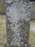 image of grave number 296372